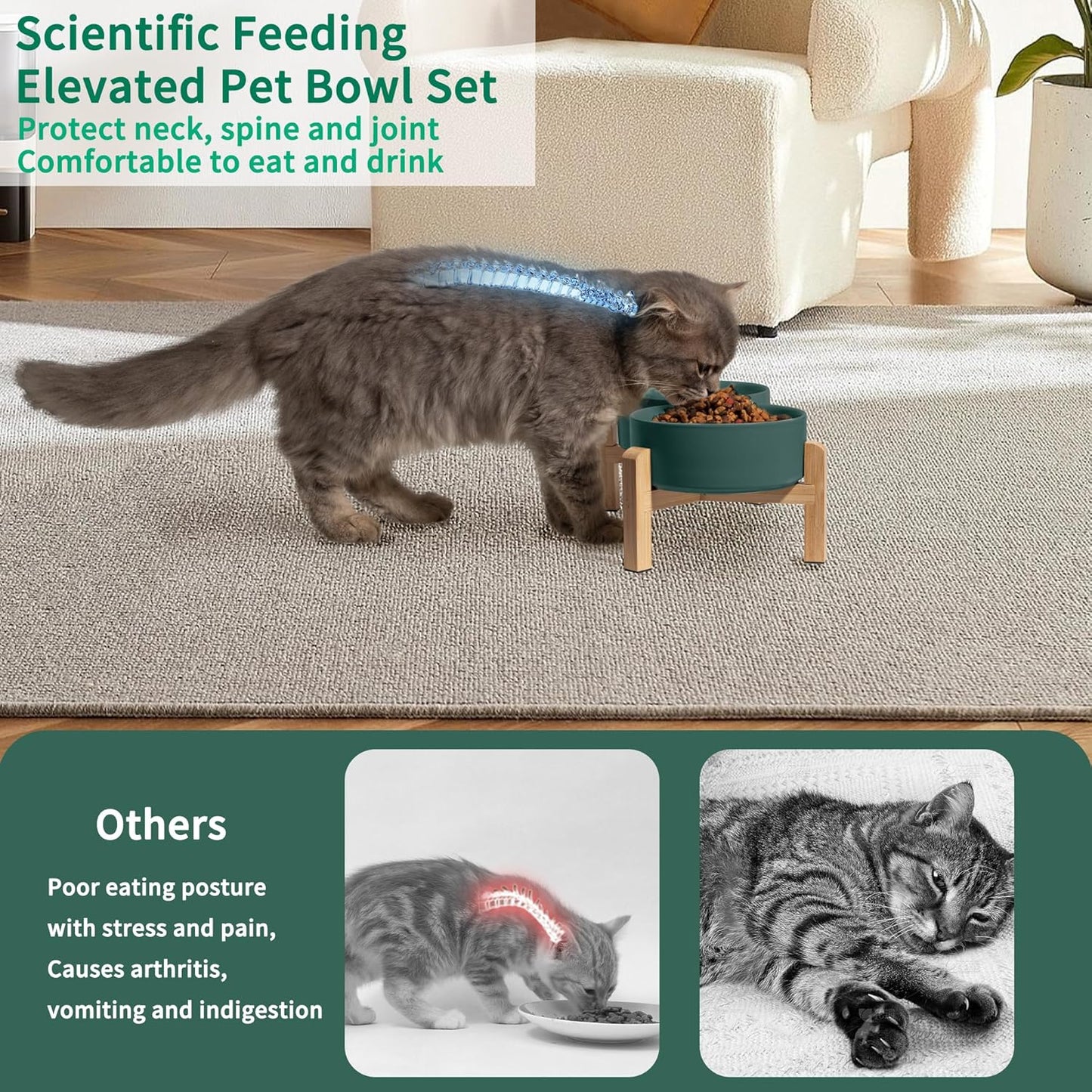 Elevated Ceramic Dog Bowl Set - Raised Feeding Bowls with Non-Slip Bamboo Stand - Small Pet Dishes for Food and Water - Ideal for Cats and Puppies - 16.23 OZ - 2 Cups - 480 ML