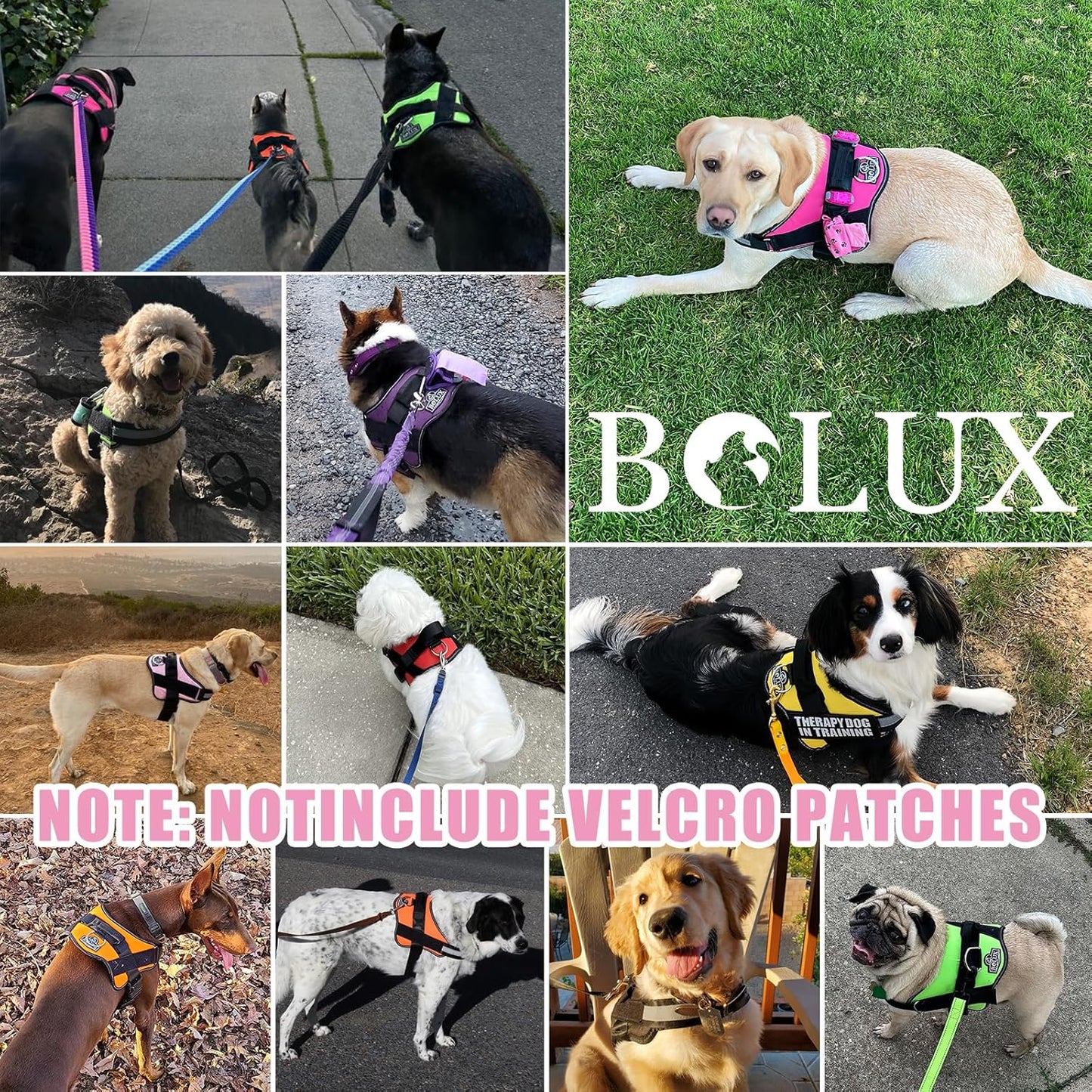 Bolux Dog Harness, No-Pull Reflective Dog Vest, Breathable Adjustable Pet Harness with Handle for Outdoor Walking - No More Pulling, Tugging or Choking (Medium (Pack of 1), OilPainting)