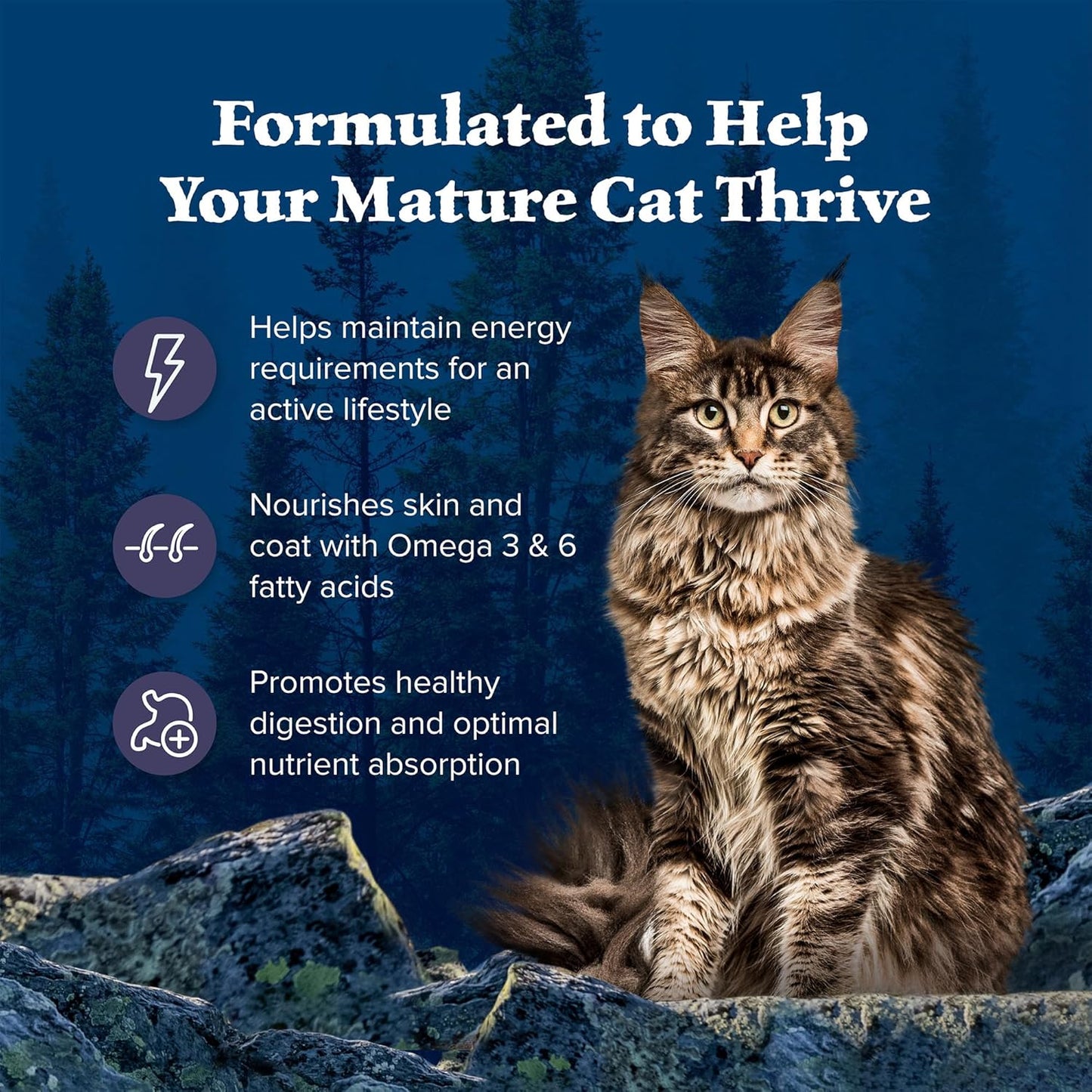 Blue Buffalo Wilderness Natural Mature Dry Cat Food for Cats 7+ Years, High-Protein and Grain-Free Diet, Supports Immune System Health and Energy to Stay Active, Chicken, 5-lb. Bag