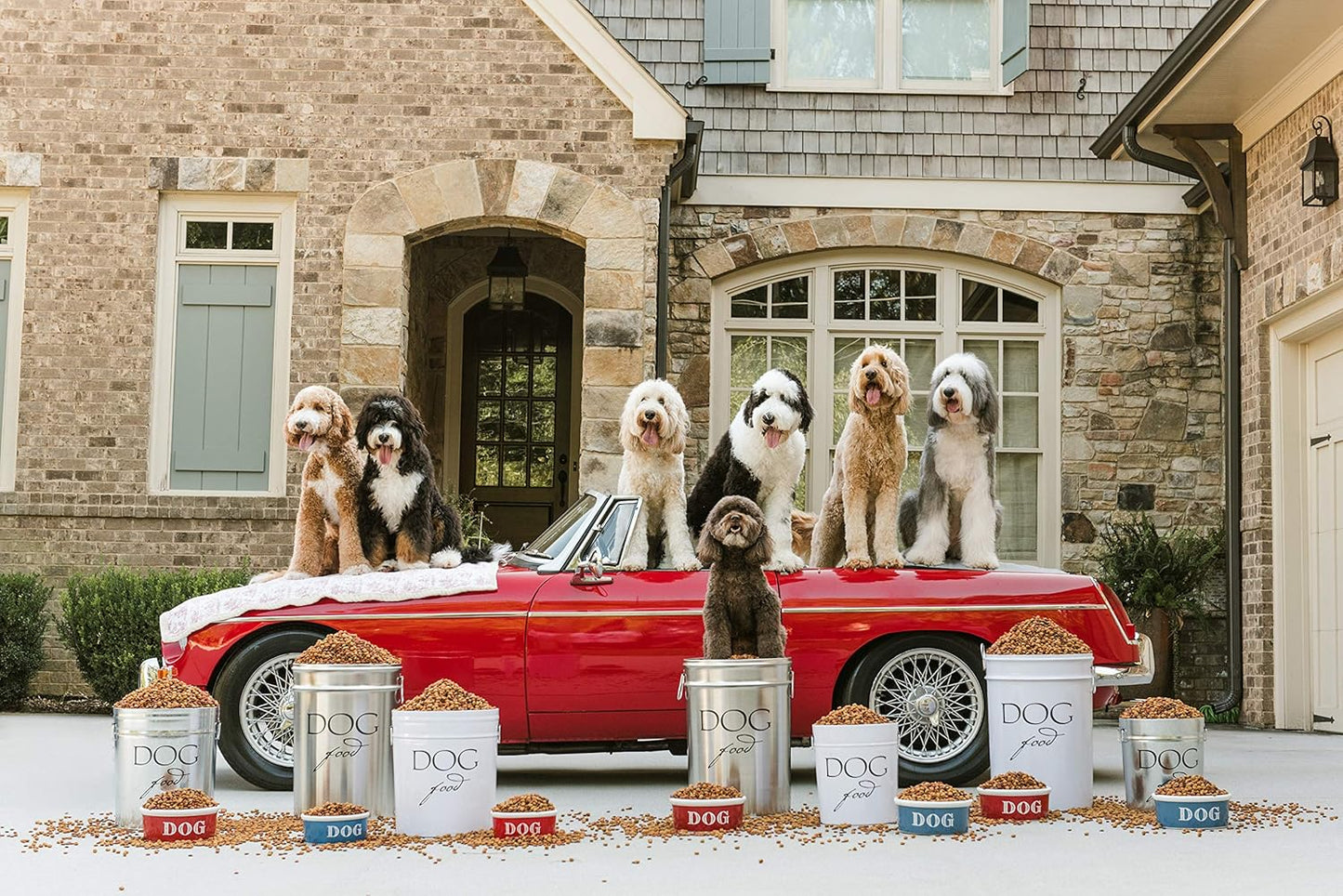 Harry Barker Pet Food Storage Collection, Classic White Food Storage - Small