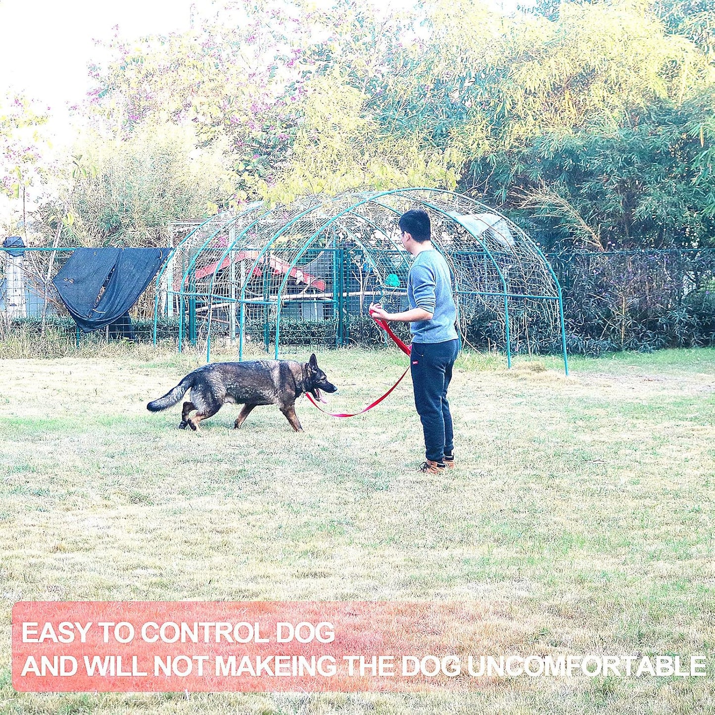 Dog/Puppy Obedience Recall Training Agility Lead -15ft 20ft 30ft 40ft 50ft Training Leash - Great for Play, Camping, or Backyard - Red 50ft