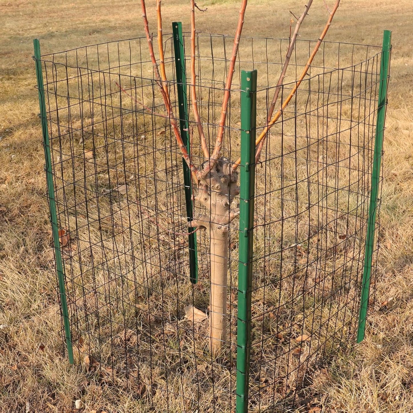 Black PVC Coated Welded Wire Fence 48 Inch x 25 Foot, 2 Inch x 3 Inch 16GA, Garden Border Fencing Roll Vinyl Coating Metal Wire Mesh for Yard Vegetable Plant Protection Poultry Netting