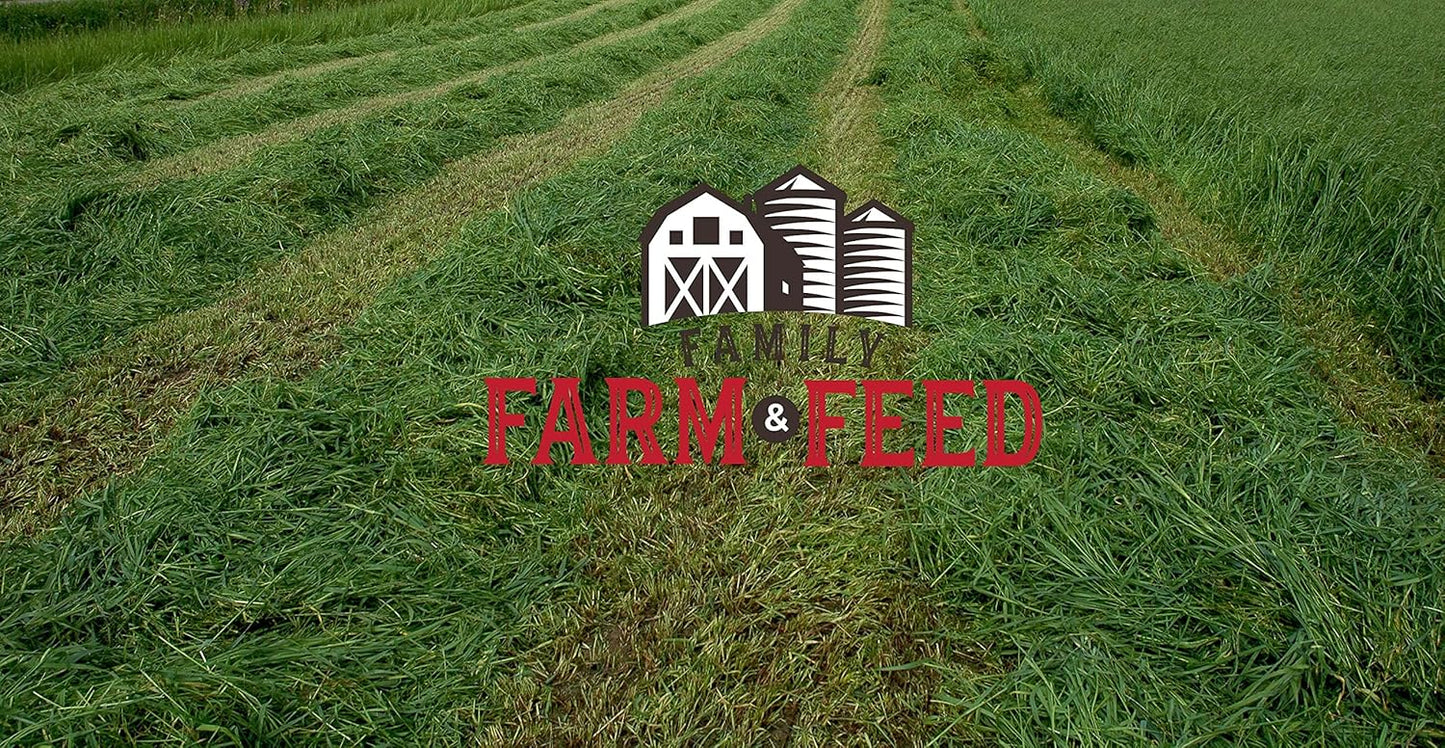 | Alfalfa Hay Food | Small Pet | Young and Adult | Cubes | 4 Pounds