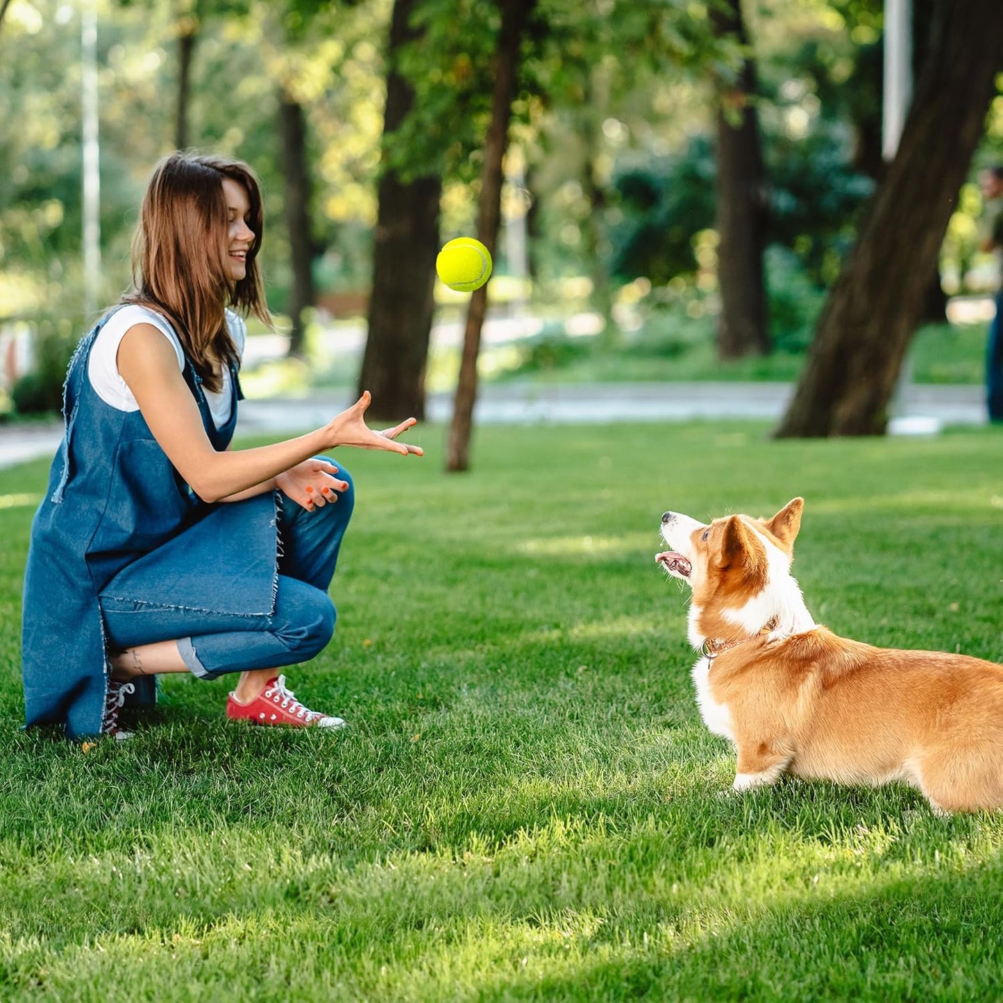 Prime Pets Toys for Dogs, 2.5 Inch Dog Toys, Interactive Pet Dog Toy Balls for Medium, Large Dogs, Tennis Balls for Dogs