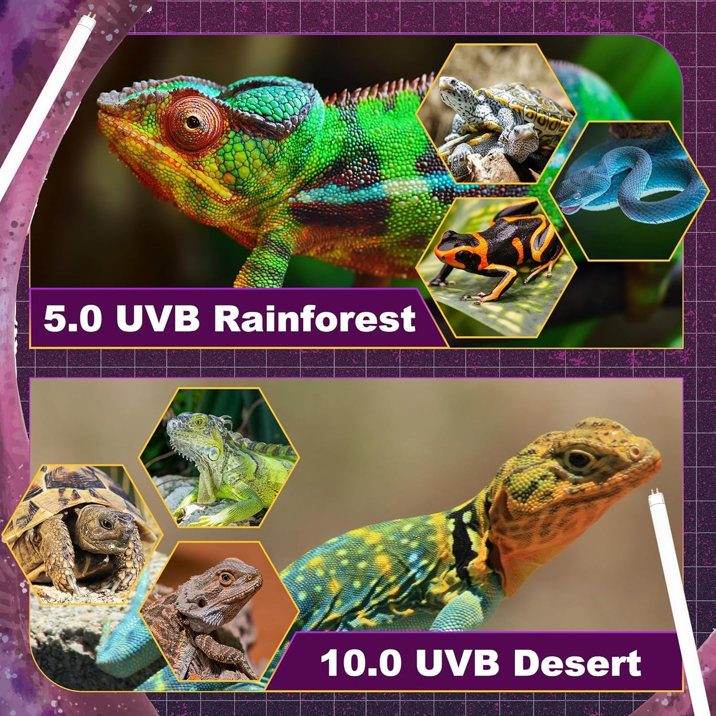 5.0 UVB Light for Reptiles, T5 HO 8 Watt Reptile Lamp Tube, Pack of 2 Fluorescent UVB Bulb, Basking Light for Bearded Dragon, Simulate Natural Sunlight for Reptiles and Amphibians