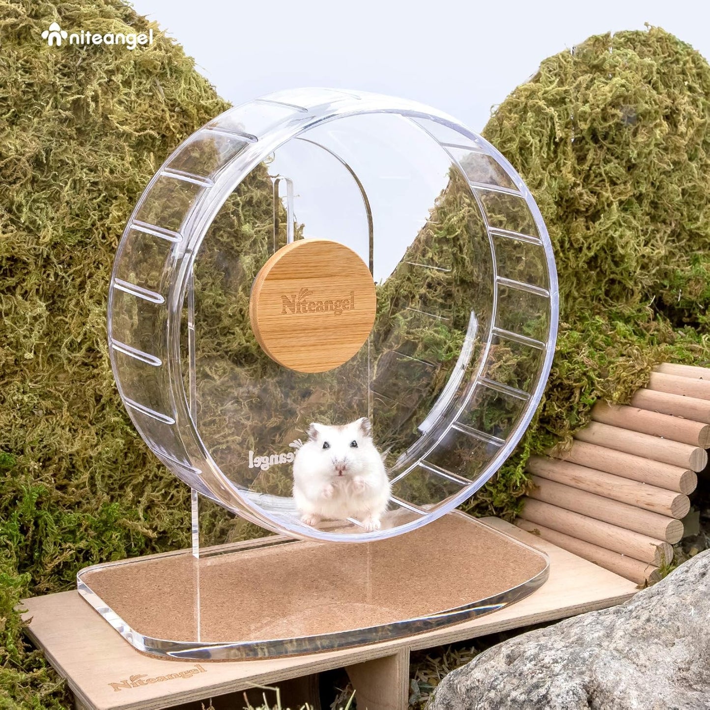 Niteangel Super-Silent Hamster Exercise Wheels: - Quiet Spinner Hamster Running Wheels with Adjustable Stand for Hamsters Gerbils Mice Or Other Small Animals (S, Transparent)