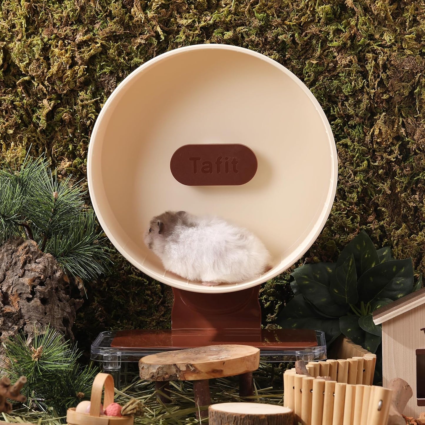 Quiet Hamster Wheel 10.2 Inch Dual-Bearings Silent Small Animals Running Exercise Wheel Height Adjustable for Syrian Hamsters, Gerbils, Rats, or Other Small Pets, Mousse White